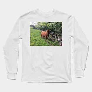 Scottish Highland Cattle Cow 2404 Long Sleeve T-Shirt